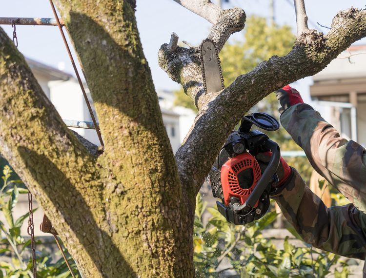 こんな方におすすめ